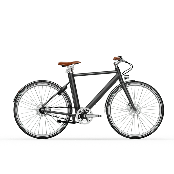 Image produit Voltaire Legendre